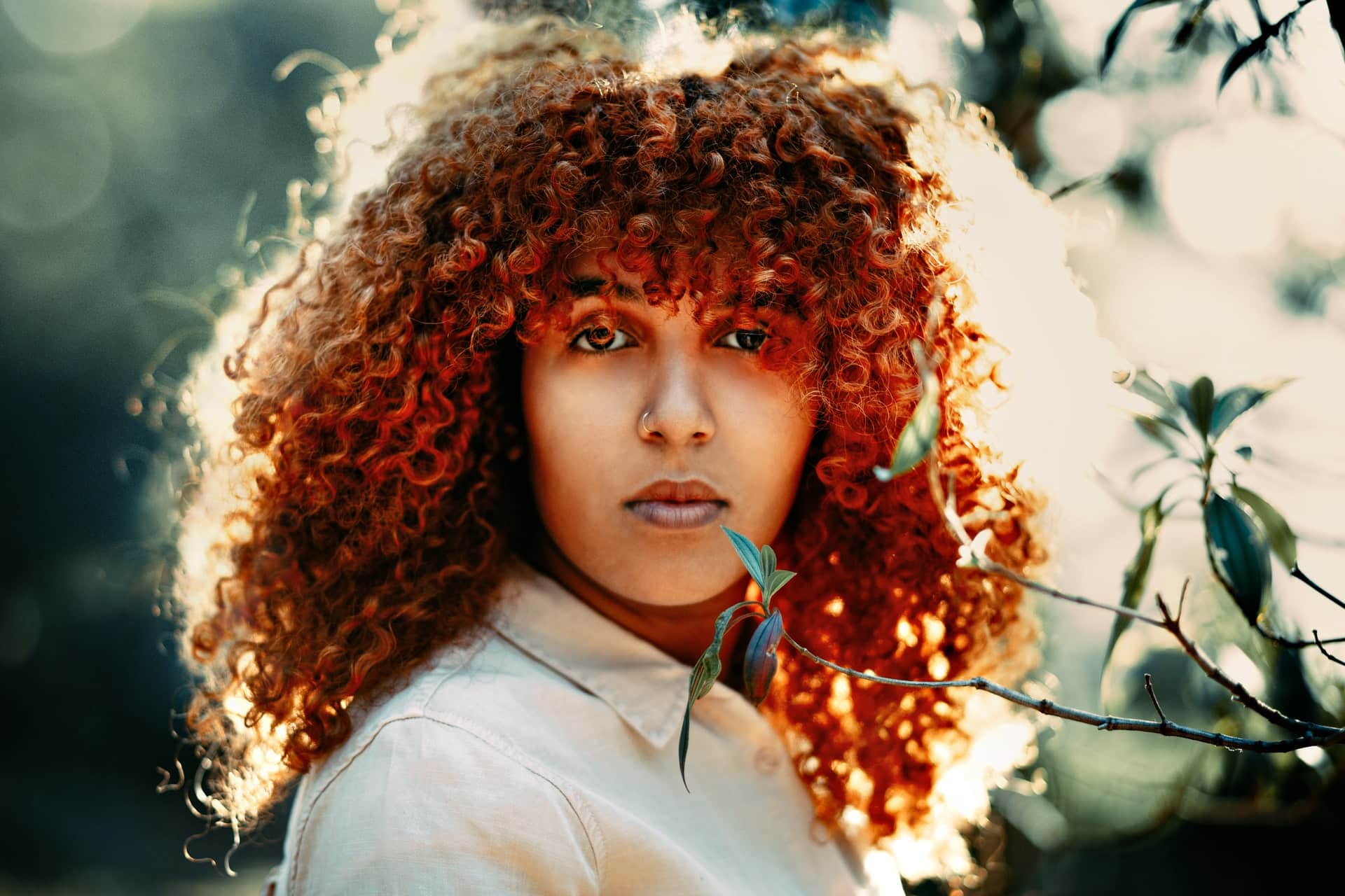 Title of Example News Post That I Build For Testing Website News – Showbiz One